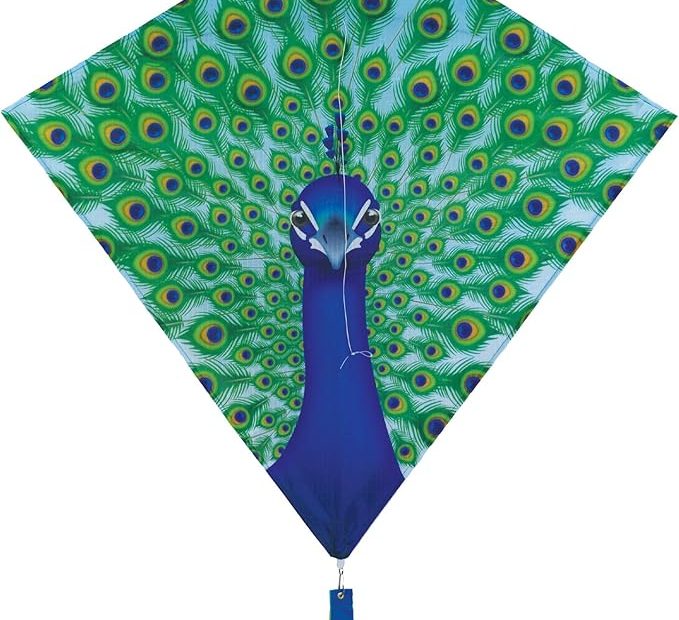 In The Breeze 30 Inch Graphic Diamond Kites